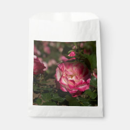 Bolsa De Papel Rosa Rosa y Blanca