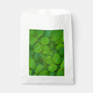 Bolsa De Papel Sacro Basil Hojas de la Moneda Verde de Tulsi
