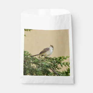Bolsa De Papel Sparrow