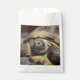 Bolsa De Papel Tibbs