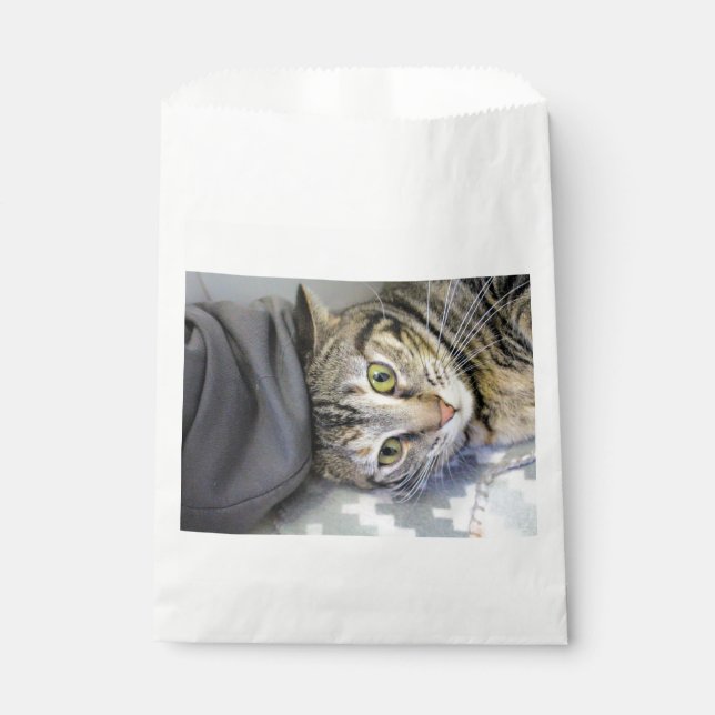 Bolsa De Papel Tigre (Anverso)