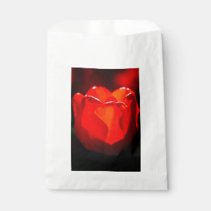 Bolsa De Papel Tulipán Rojo Flor - Fuego
