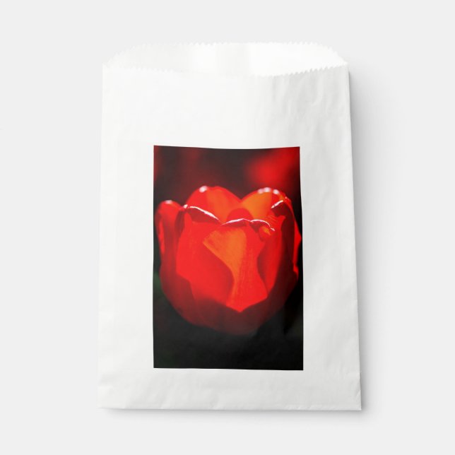 Bolsa De Papel Tulipán Rojo Flor - Fuego (Anverso)