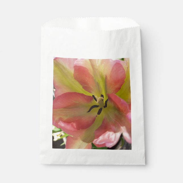 Bolsa De Papel Tulipán rosa y amarillo  (Anverso)