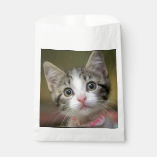 Bolsa De Papel Un gatito lindo con ojos verdes