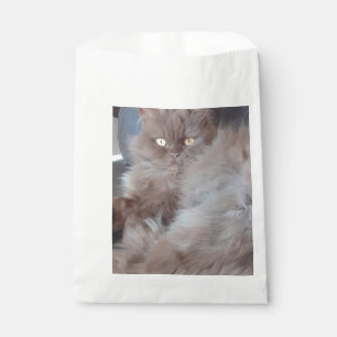 Bolsa De Papel Un gato mimado