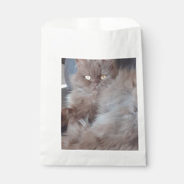 Bolsa De Papel Un gato mimado (Anverso)