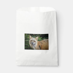Bolsa De Papel Wild Fox