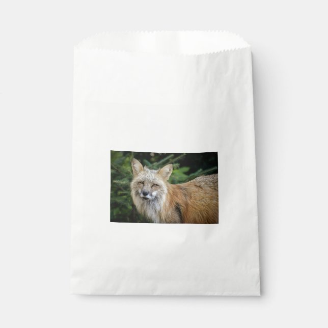 Bolsa De Papel Wild Fox (Anverso)