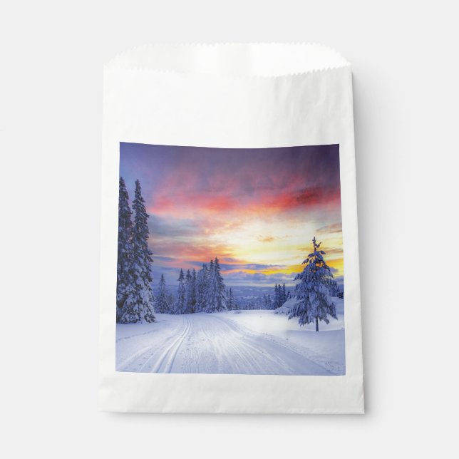 Bolsa De Papel Winter scenery (Anverso)