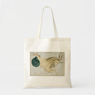 Bolsa de pata de Capricornio