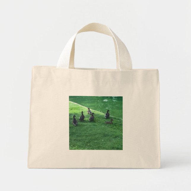 Bolsa de patos (Frente)