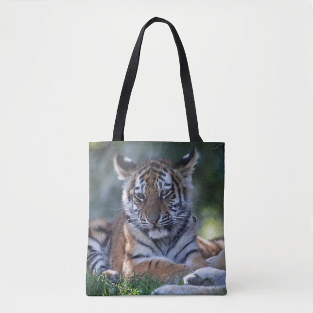 Bolsa de Pequeñas Rayas (Anverso)