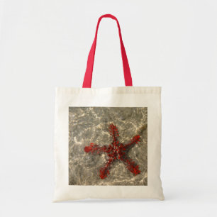Bolsa de pescado de Star Fish