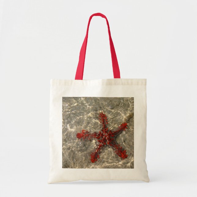 Bolsa de pescado de Star Fish (Frente)