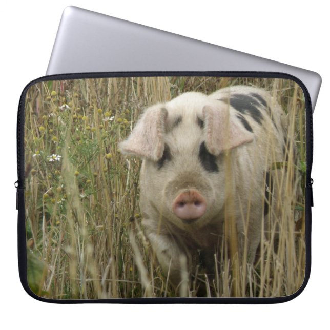 Bolsa de portátil de cerdo (Frente)