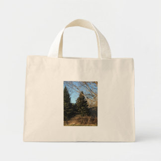 Bolsa de primavera de árboles