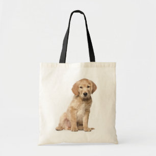 Bolsa de punción de perro acristalado