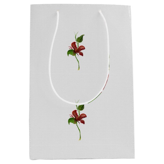 Bolsa de regalo (Anverso)