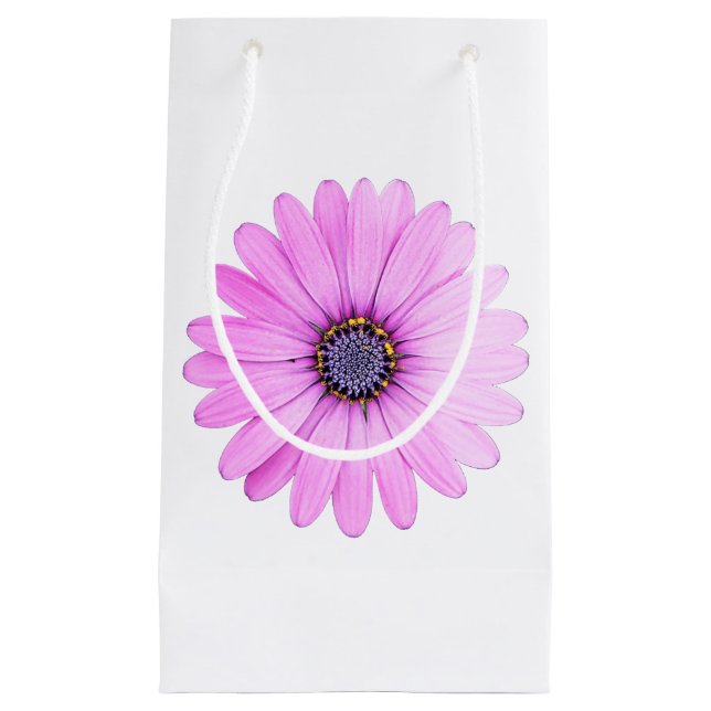 Bolsa de regalo (Anverso)