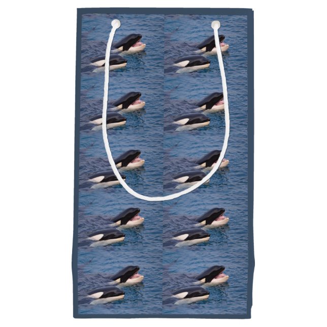 Bolsa de regalo (Anverso)