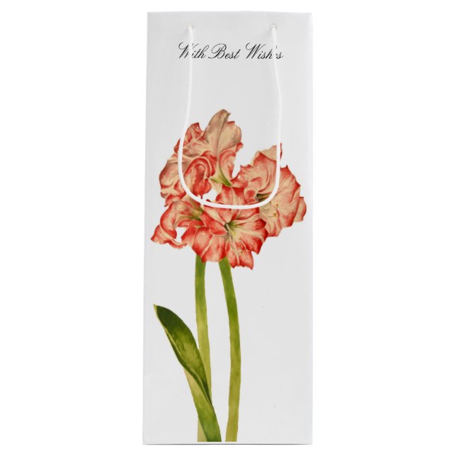 Bolsa de regalo (Anverso)