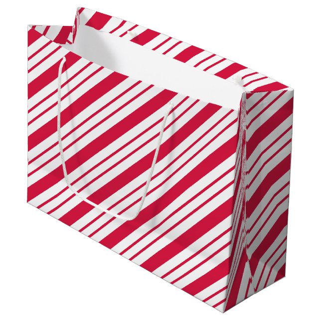 Bolsa de regalo a rayas de menta grande (Angulo Anverso)