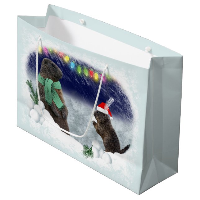 Bolsa de regalo de bola de nieve (Angulo Anverso)