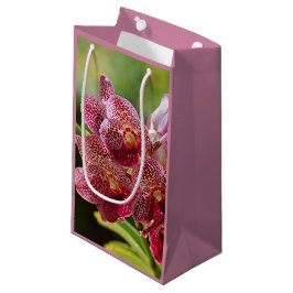 Bolsa de regalo de cumpleaños de Vanda Orchid Clus