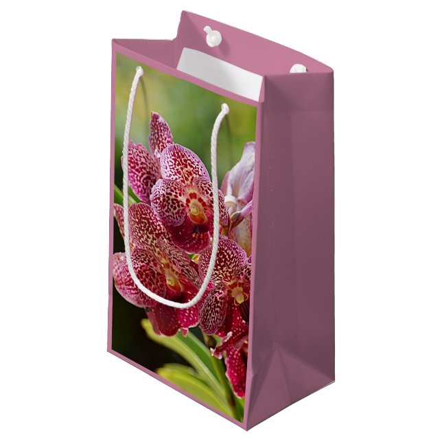 Bolsa de regalo de cumpleaños de Vanda Orchid Clus (Angulo Anverso)