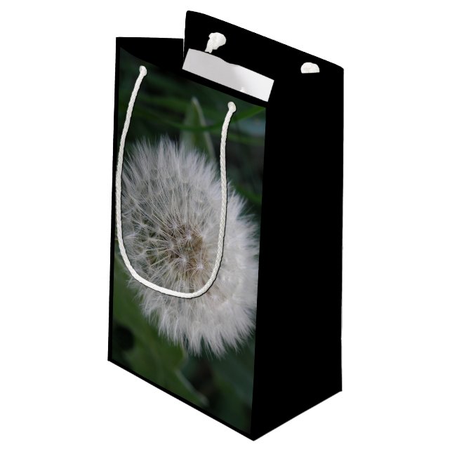 Bolsa de regalo de la flor de Dandelion de semilla (Angulo reverso)