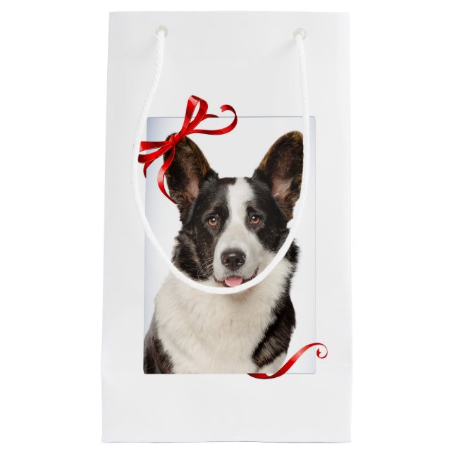 Bolsa de regalo de los Navidades de Corgi (Anverso)