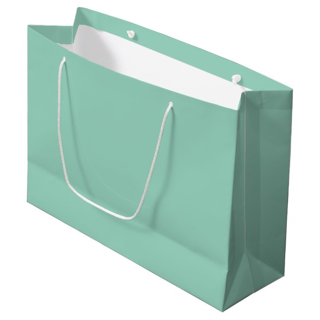 Bolsa de regalo de marca blanca para personalizado (Angulo Anverso)