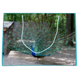 Bolsa de regalo de pavo real