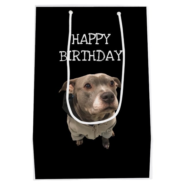 Bolsa de regalo de Pitbull con Hoodie (Reverso)