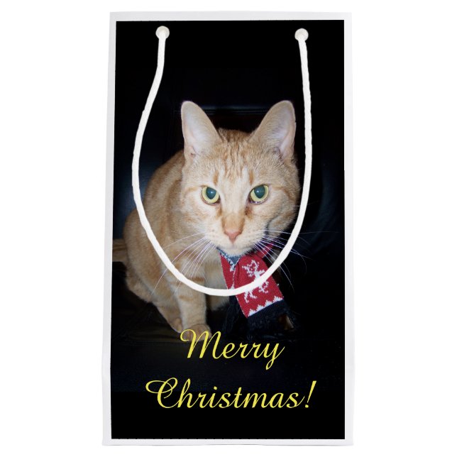 Bolsa de regalo de un gato naranja con Navidades d (Anverso)