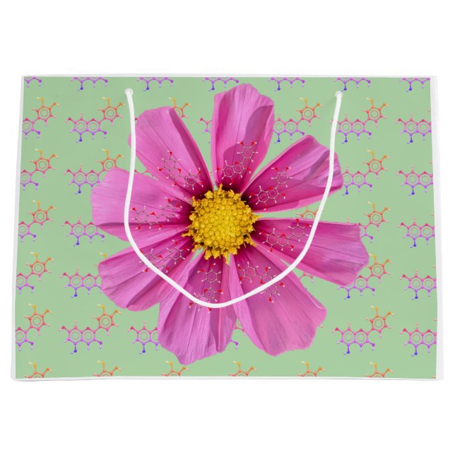 Bolsa de regalo del Fiesta del jardín de química (Anverso)