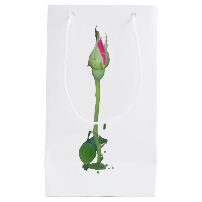 Bolsa de regalo ESTILO Y DISEÑO DE ROSA (Anverso)