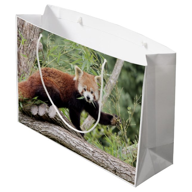Bolsa de regalo Foto panda roja , animales 0271. (Angulo reverso)