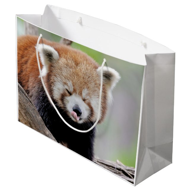 Bolsa de regalo Foto panda roja , animales 0272. (Angulo reverso)