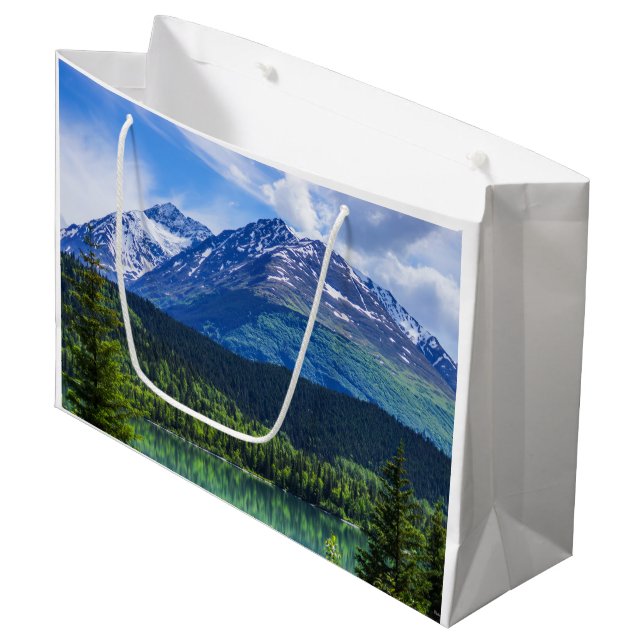Bolsa de regalo grande (Angulo Anverso)