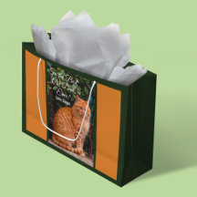 A la mejor foto del Personalizado de papá gato de 