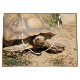 Bolsa De Regalo Grande Ala aldabra