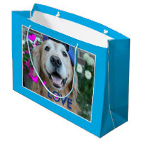 Amor sonriente del golden retriever