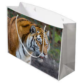 Bolsa De Regalo Grande Amur tiger