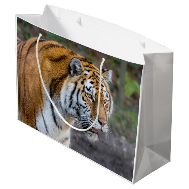 Bolsa De Regalo Grande Amur tiger (Angulo reverso)