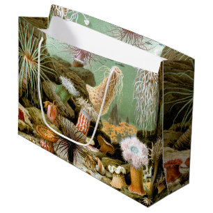 Bolsa De Regalo Grande Anémonas de mar Vida marina, Animales marinos vint