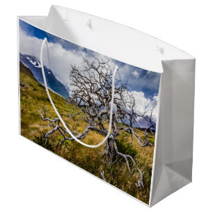 Bolsa De Regalo Grande Árbol quemado, Torres del Paine, Chile