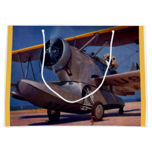 Bolsa De Regalo Grande Avión F-2 Grumman de 1939