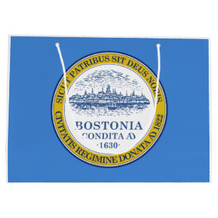 Bolsa De Regalo Grande Bandera de Boston (Massachusetts)